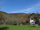 DSC00941