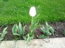 P150412_1805[01]