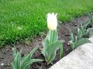 P150412_1805[02]