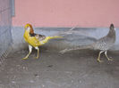 Picture 007