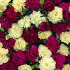 carnation_bananaberry_fizz_