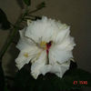 DSC00100