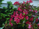 DSC05895