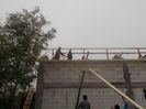 DSCN0348