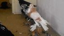 IMG_20131013_130155