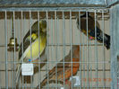 DSCN4133
