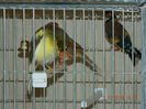 DSCN4134