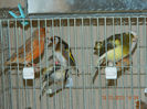 DSCN4136