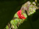 DSCN3986