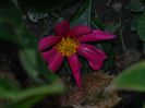 DSCN3987