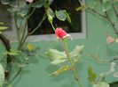 DSCN3997