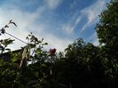 DSCN4088
