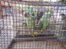 DSCN4820