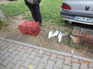 DSCN4845