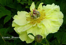 09_garden_treasure_an_itoh