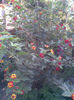 Imag028