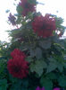 Imag032