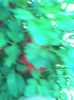 Imag034