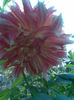 Imag037