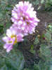 Imag042