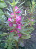 Imag045