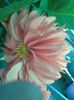 Imag053