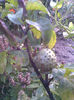 Imag054