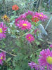 Imag056