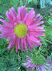 Imag057