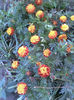 Imag058