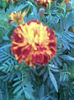 Imag059