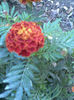Imag060