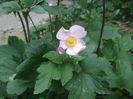 DSCF3012