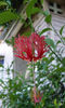 image_20563