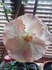 IMG_20131015_131935