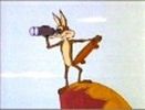 Road Runner And Wile E Coyote
