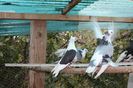 IMG_1304