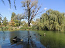 DSCN7546