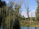 DSCN7574