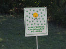 DSCN7635