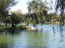 DSCN7640