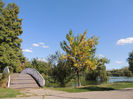 DSCN7648