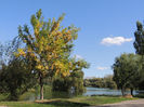 DSCN7649