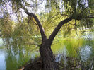 DSCN7674