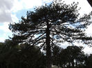 DSCN7868