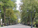 DSCN7875
