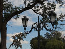 DSCN7880