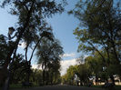 DSCN7881
