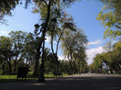 DSCN7882