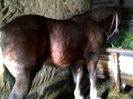 IMG-20131008-01149